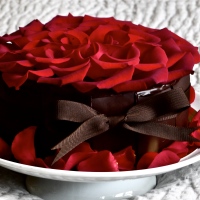 Chocolate birthday cake with vanilla cream and roses
